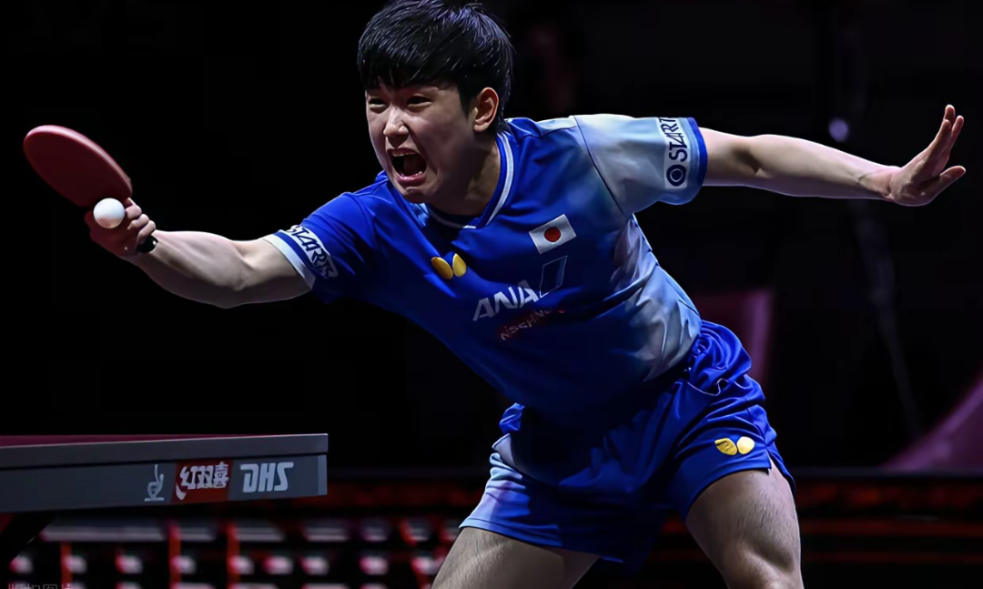 关于波兰队险胜瑞典队，张本智和状态火热的信息