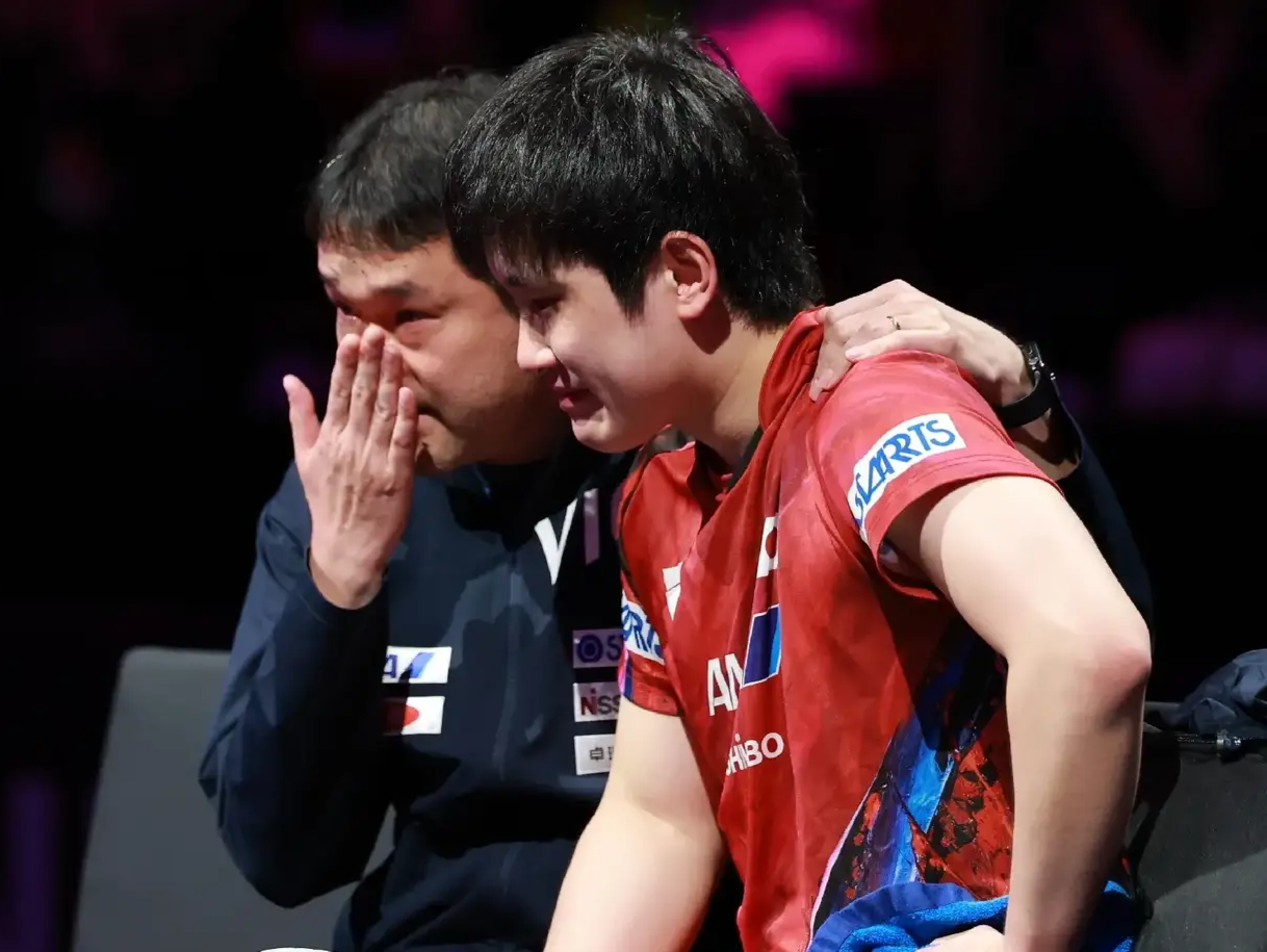 包含波兰队逆转瑞典队，张本智和状态火热的词条