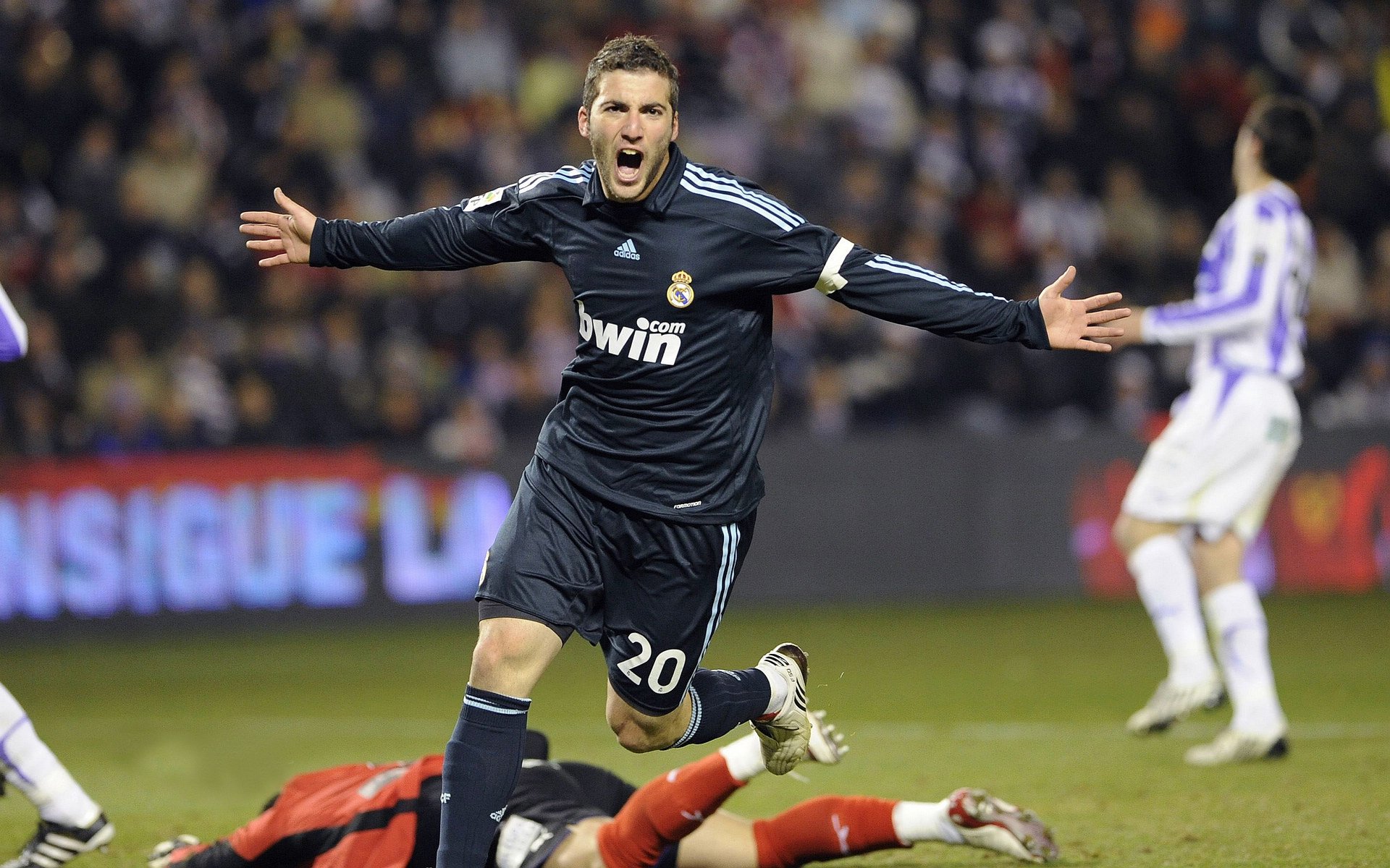 双面范弗利特，猛龙助教变身热火终结者，冷静一击断送森林狼逆袭梦