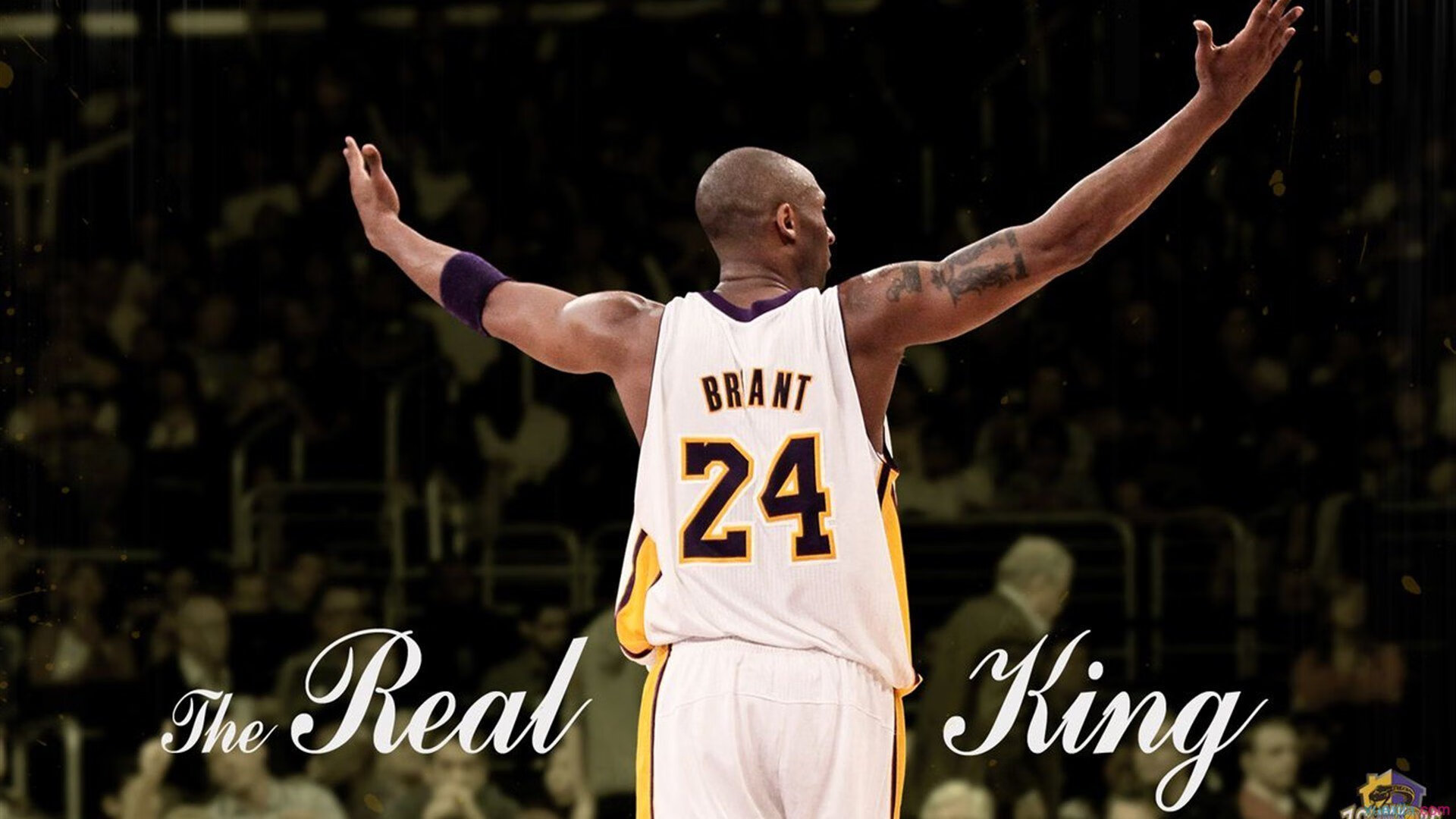 开云体育APP下载-降维打击，从CBA窒息式防守到F1赛道的绝对掌控